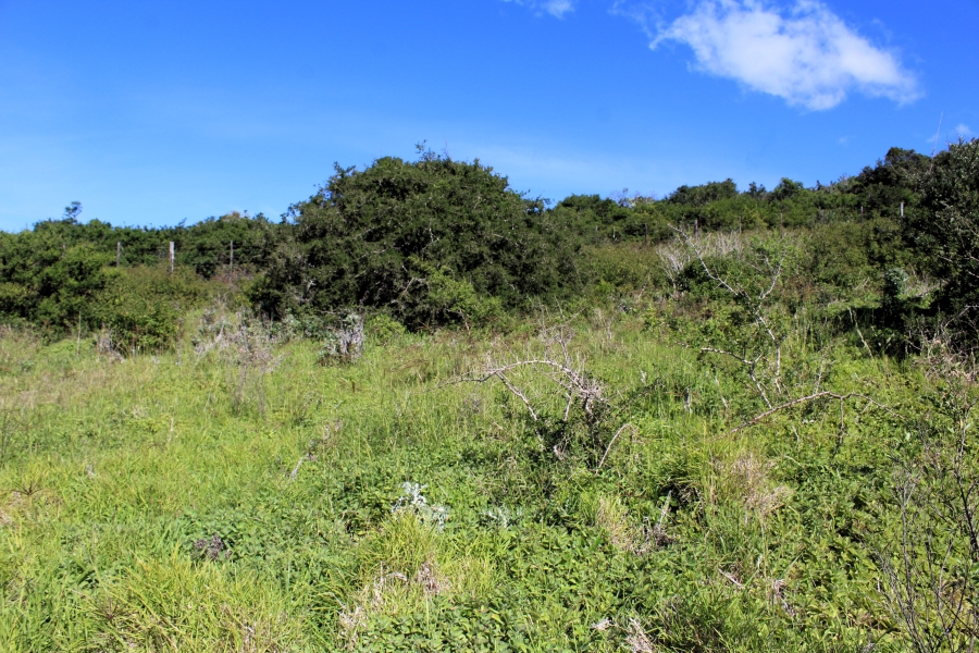 0 Bedroom Property for Sale in Riverview Water Front Estate Eastern Cape